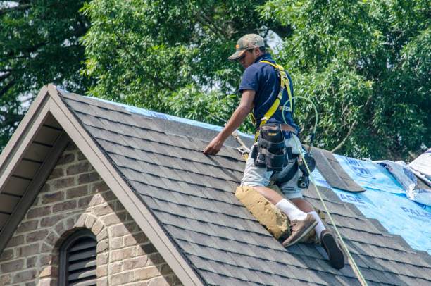 Best Gutter Installation and Roofing  in Summerville, GA